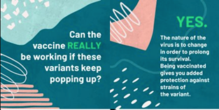 Can the vaccine really be working if these variants keep popping up?