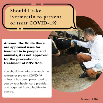 white man kneeling down petting a cow