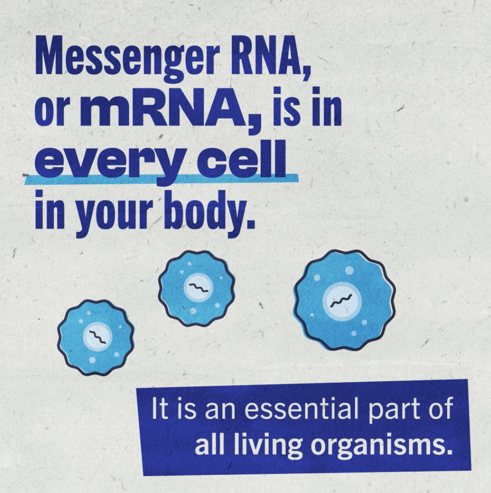 video still showing virus particles and text saying messenger RNA, or mRNA is in every cell of your body