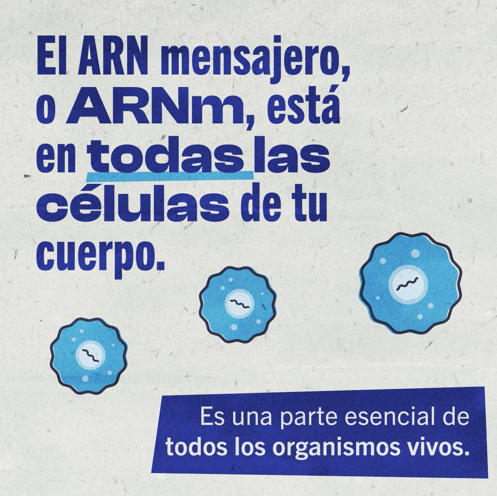 video still showing virus particles and text saying messenger RNA, or mRNA is in every cell of your body