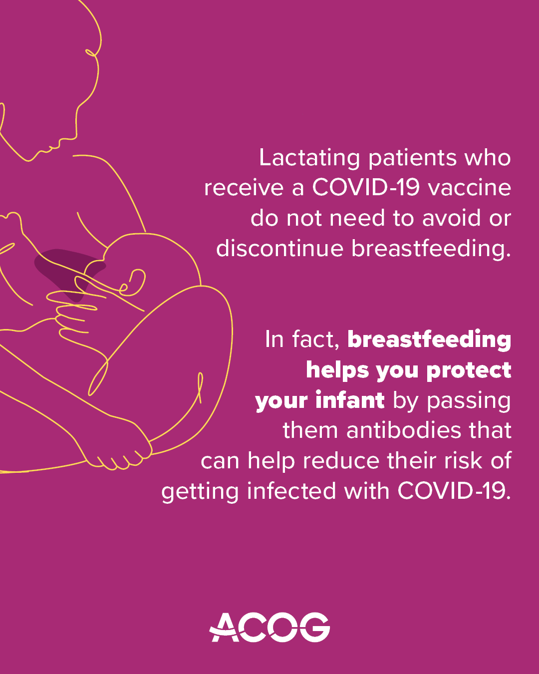 Magenta background with a yellow outline illustration of a parent breastfeeding an infant on the left. Text reads: “Lactating patients who receive a COVID-19 vaccine do not need to avoid or discontinue breastfeeding. In fact, breastfeeding helps you protect your infant by passing them antibodies that can help reduce their risk of getting infected with COVID-19.” The ACOG logo appears at the bottom.