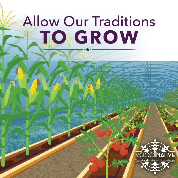 A greenhouse with tomatoes, corn and other vegetables in full bloom.
