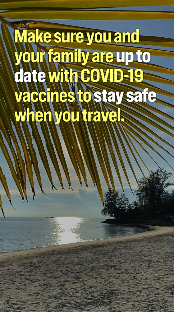 Video still shows text in front of a beach background, with the sun shining through palm tree leaves.