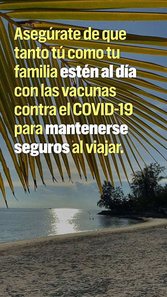 Video still shows text in front of a beach background, with the sun shining through palm tree leaves.