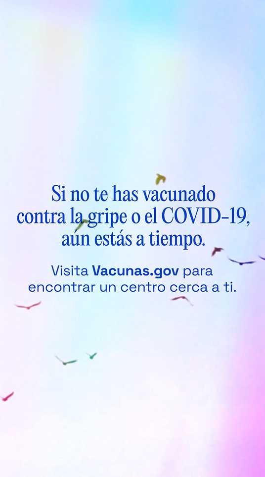 Video still shows text over a colorful sky with birds flying.