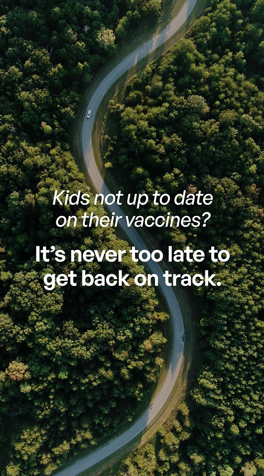 Video still shows an aerial view of a car driving on a windy road through the forest.