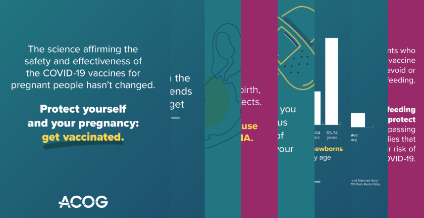 A compilation of eight ACOG toolkit graphics combating misinformation about maternal vaccination.