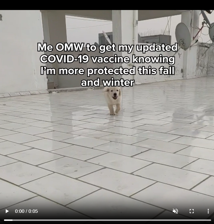 Photo image of a white puppy running