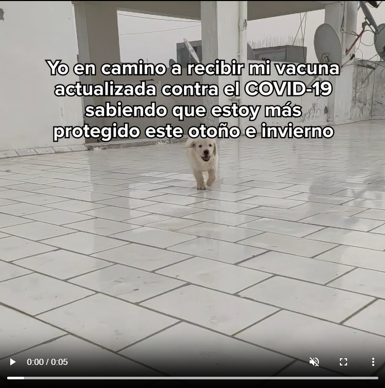 Photo image of a white puppy running