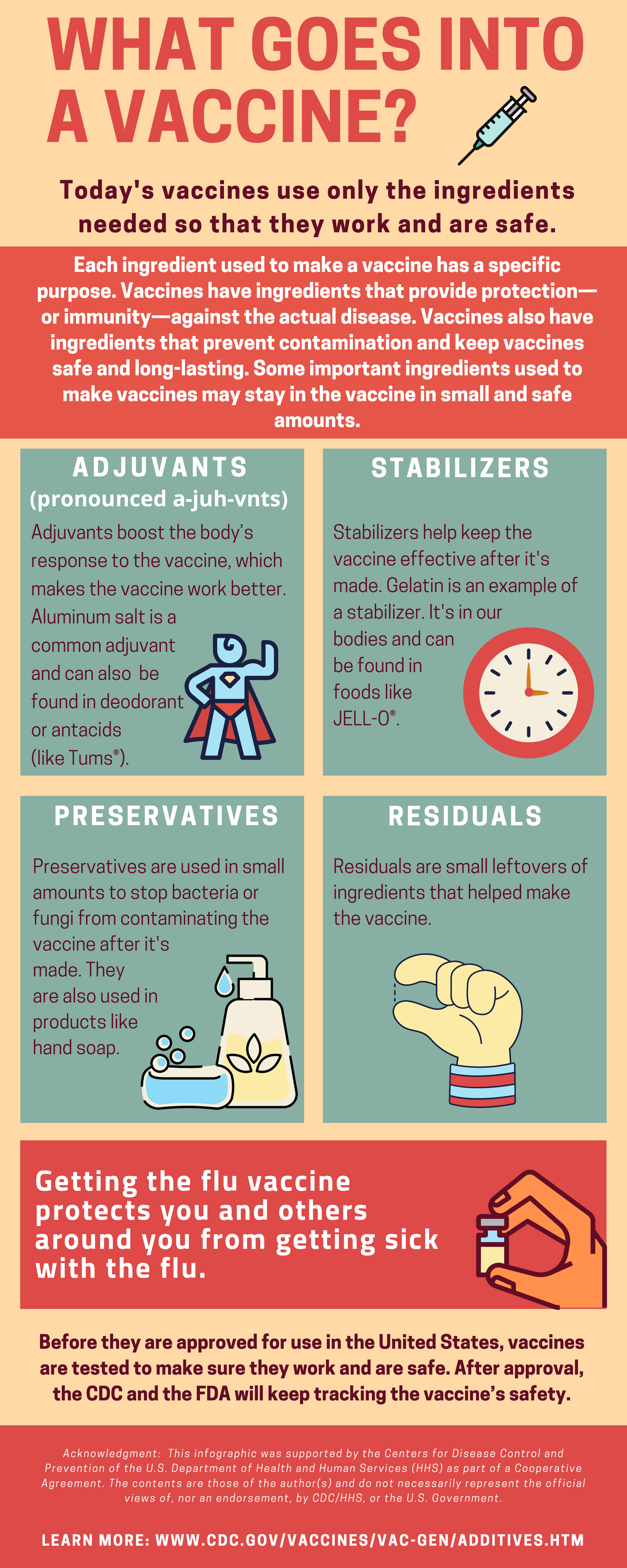 What goes into a vaccine factsheet provides information on important ingredients that are used in vaccines.