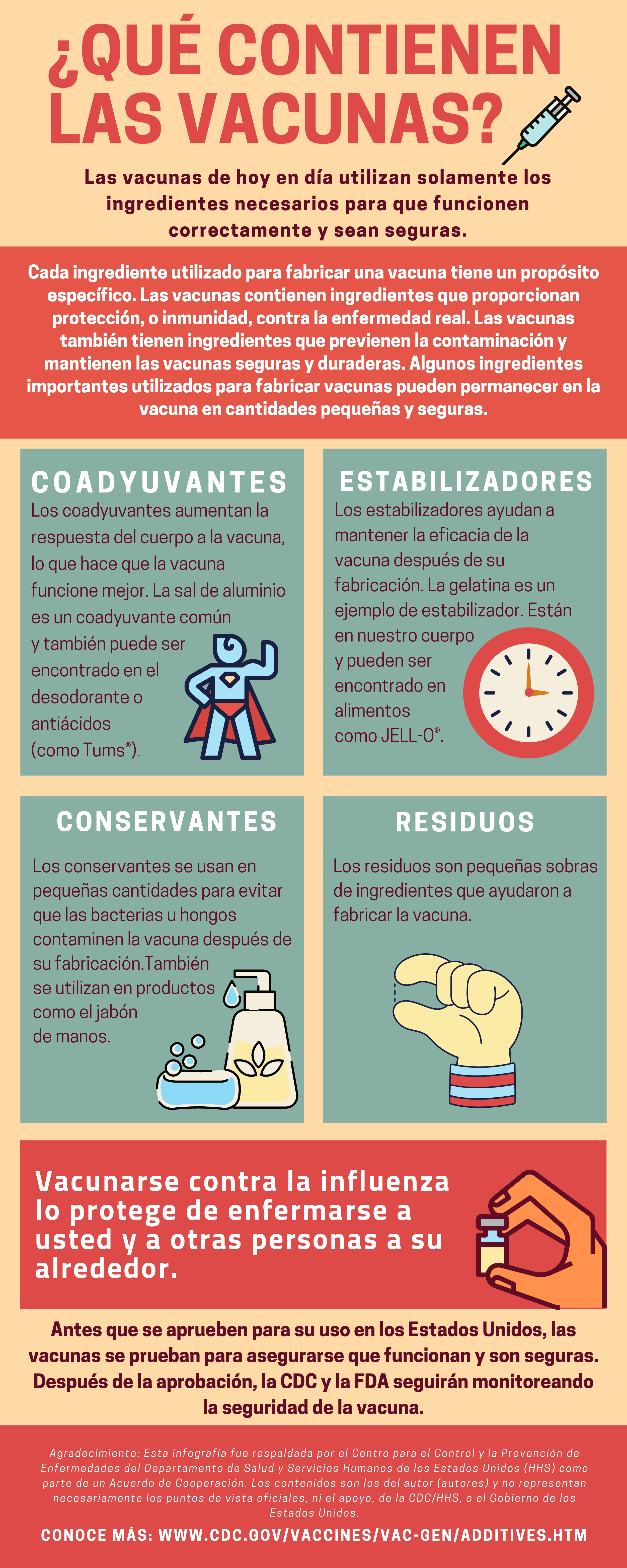 What goes into a vaccine factsheet provides information on important ingredients that are used in vaccines.