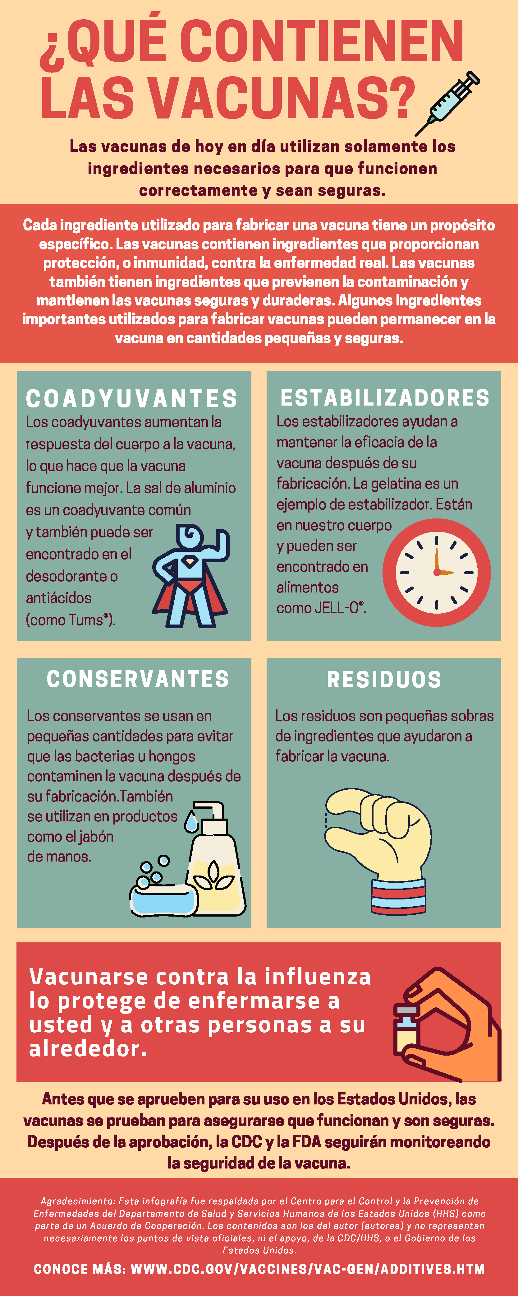 What goes into a vaccine factsheet provides information on important ingredients that are used in vaccines.